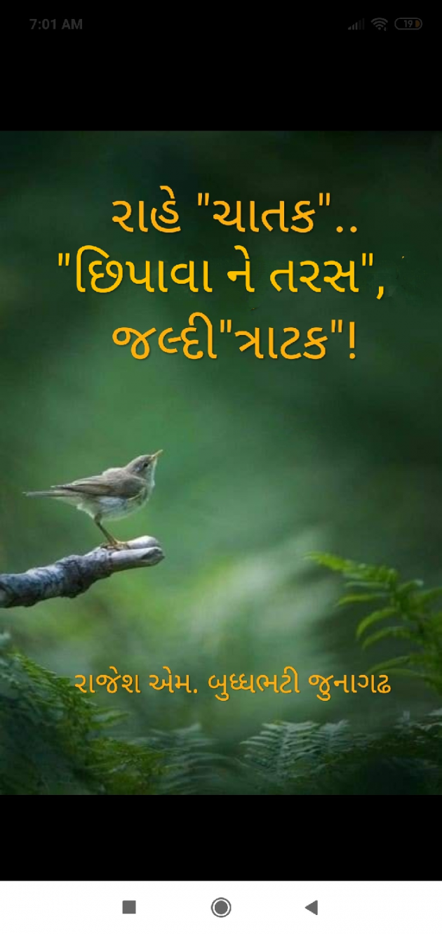 Gujarati Hiku by Rajesh Buddhabhatti : 111719353