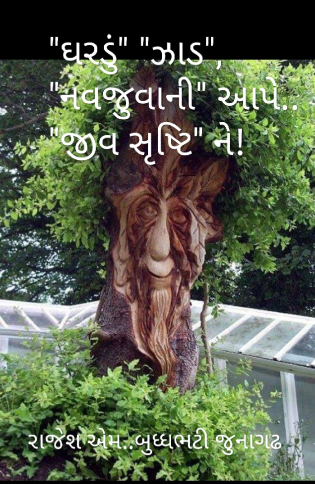 Gujarati Hiku by Rajesh Buddhabhatti : 111719757