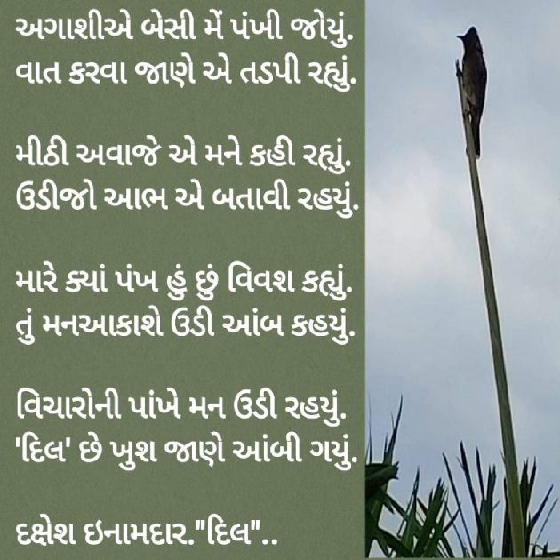Gujarati Blog by Dakshesh Inamdar : 111720401
