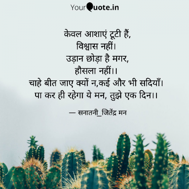 Hindi Whatsapp-Status by सनातनी_जितेंद्र मन : 111720610