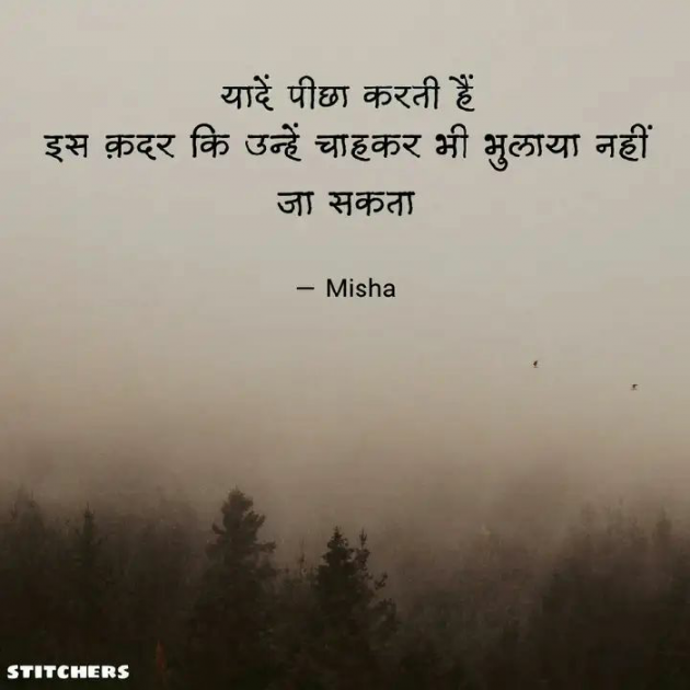 Hindi Blog by Misha : 111720870
