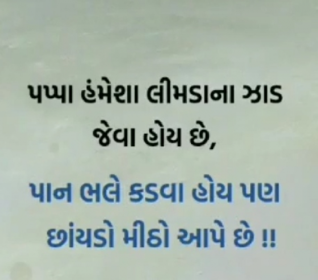 Gujarati Thought by Nirudri : 111721046