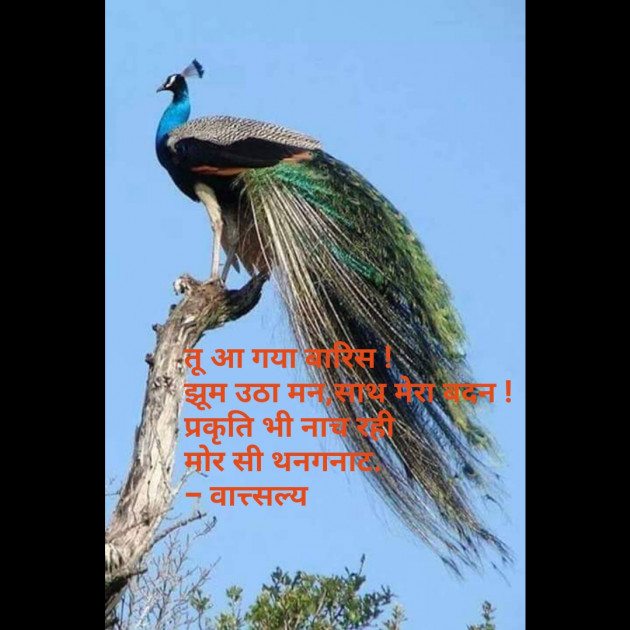 Hindi Whatsapp-Status by वात्सल्य : 111721462