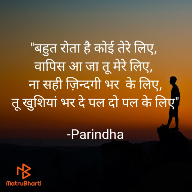 Hindi Shayri by Parindha : 111722279