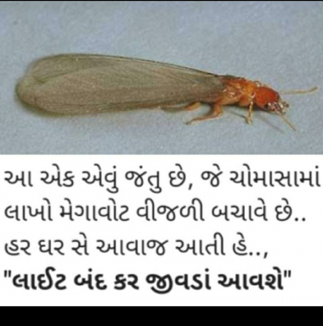 Gujarati Microfiction by Naranji Jadeja : 111722403