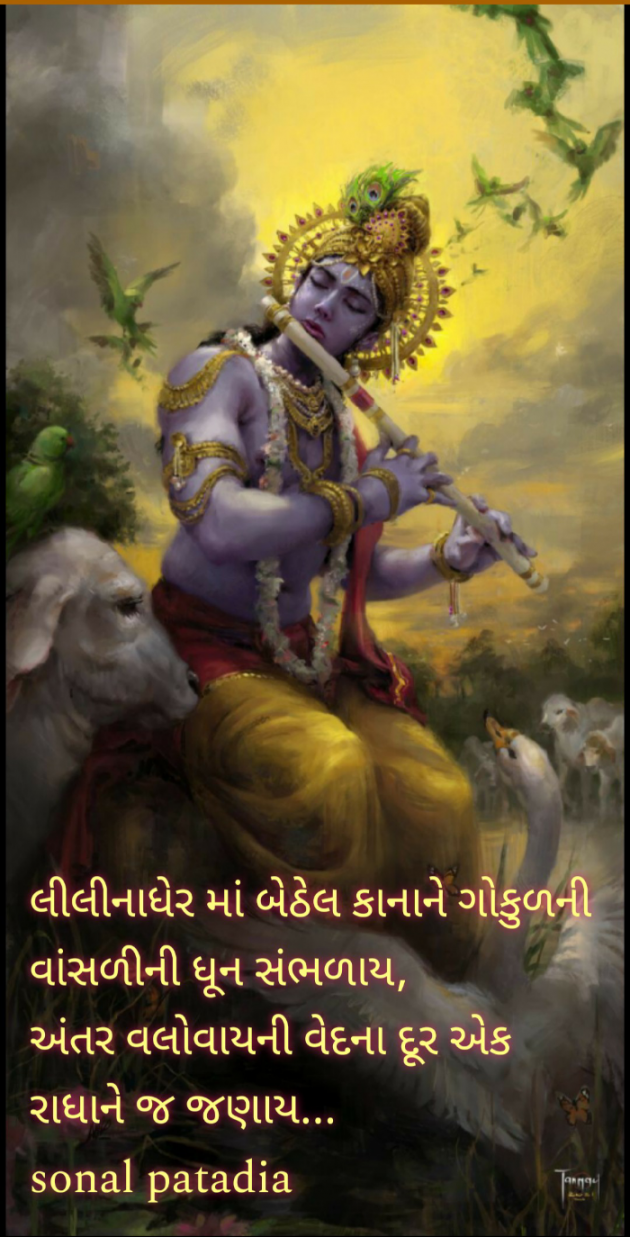 Gujarati Religious by Sonalpatadia darpan : 111722580