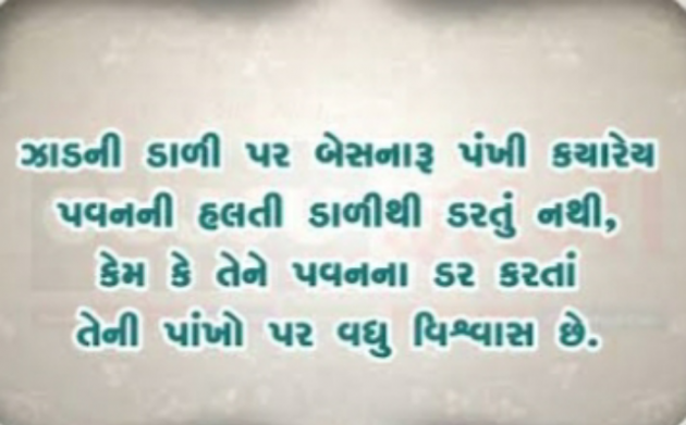 Gujarati Thought by Het Bhatt Mahek : 111722625
