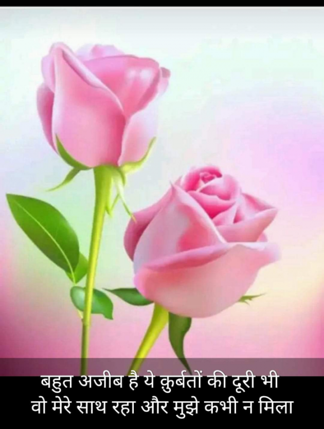 Hindi Blog by Kumar Rahman : 111723165