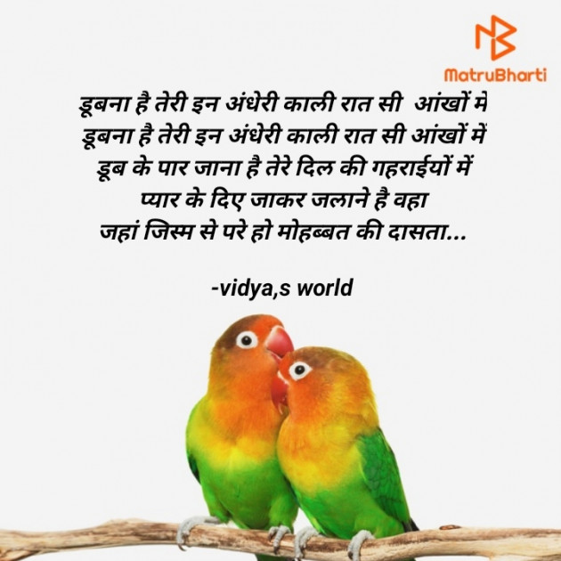 Hindi Romance by vidya,s world : 111723225