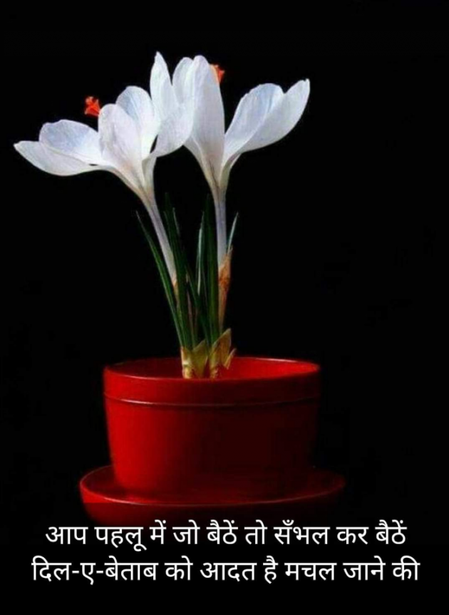 Hindi Blog by Kumar Rahman : 111723560
