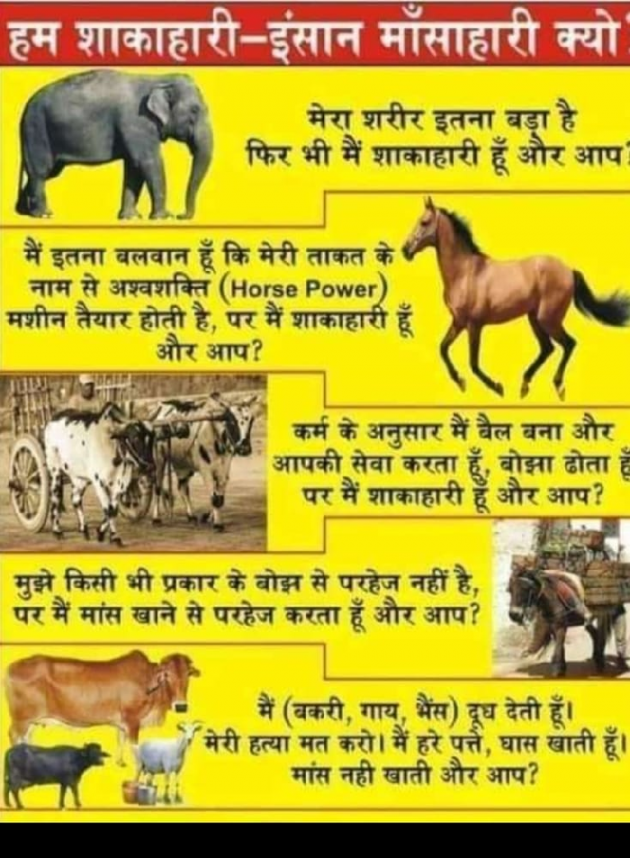 Hindi Whatsapp-Status by Sarita : 111723622