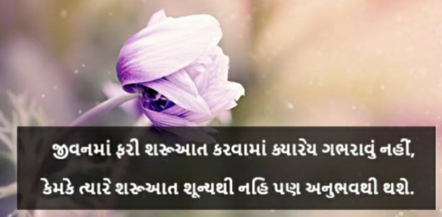 Gujarati Thought by Het Bhatt Mahek : 111723757