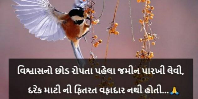 Gujarati Thought by Het Bhatt Mahek : 111723758