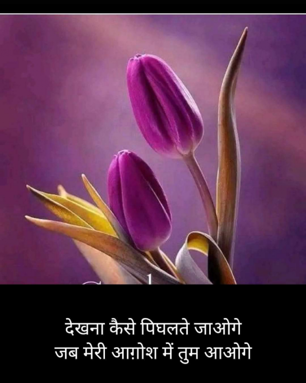 Hindi Blog by Kumar Rahman : 111723974