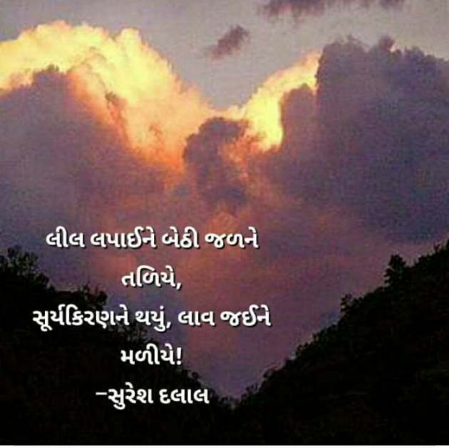 Gujarati Microfiction by Vira : 111724362