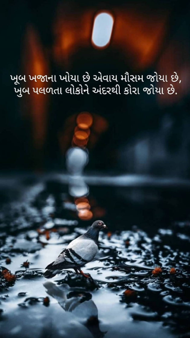 Gujarati Thought by Taran_Goswami : 111724595