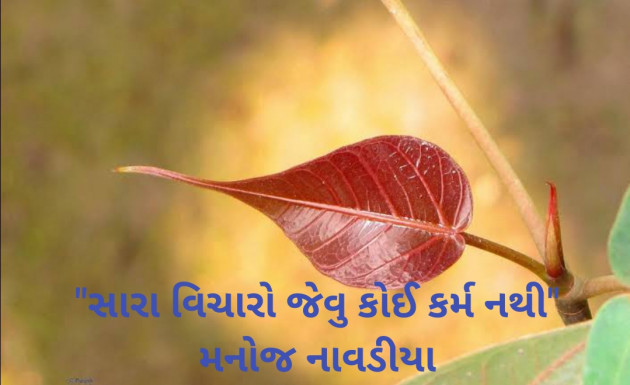 Gujarati Quotes by મનોજ નાવડીયા : 111725087