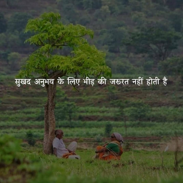 Hindi Motivational by Krishna Timbadiya : 111725166