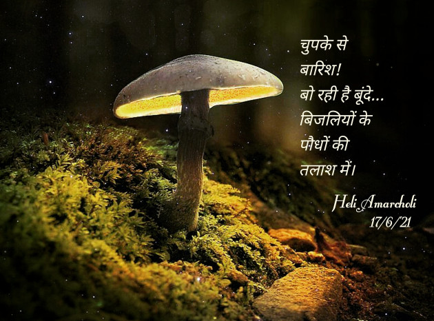 Hindi Microfiction by Heli : 111725197