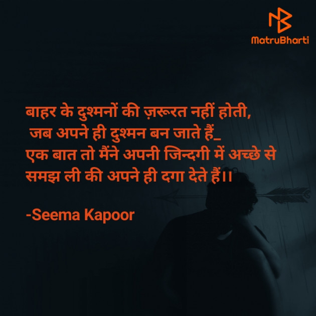 Hindi Blog by सीमा कपूर : 111725230
