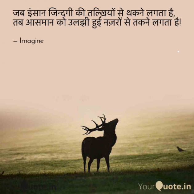 English Shayri by Imagine : 111725278