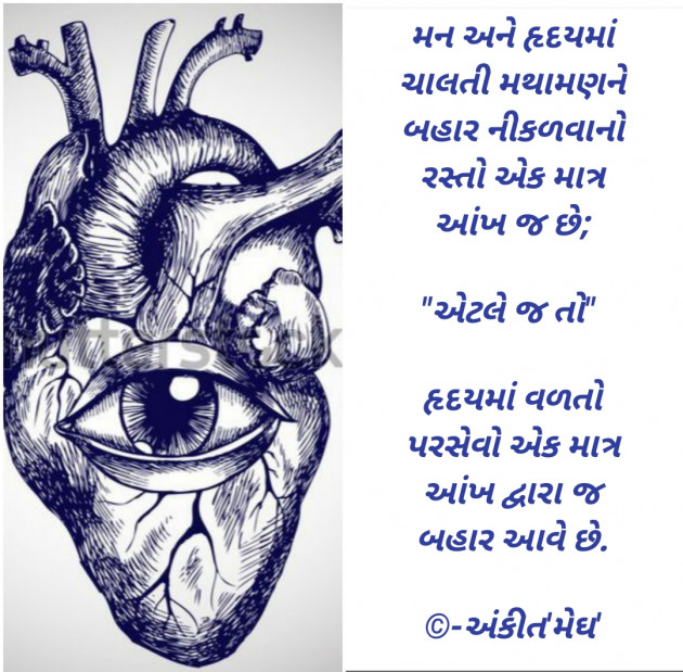 Gujarati Thought by Ankit K Trivedi - મેઘ : 111725548