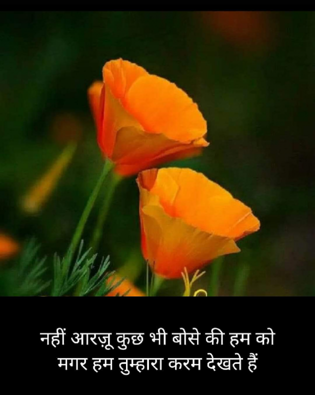 Hindi Blog by Kumar Rahman : 111725776
