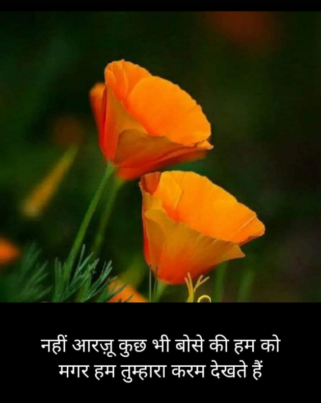 Hindi Blog by Kumar Rahman : 111725777