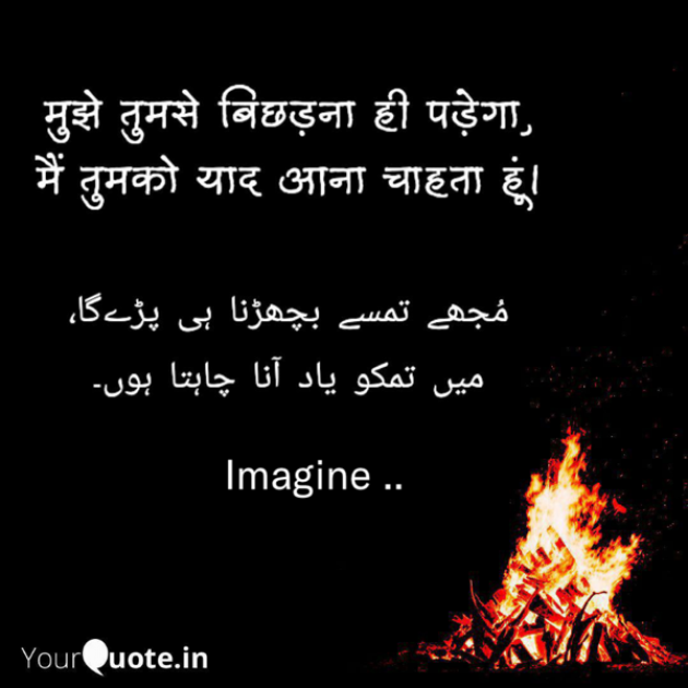 English Shayri by Imagine : 111726286