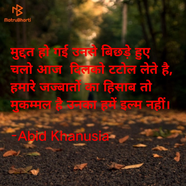 Hindi Romance by Abid Khanusia : 111726447