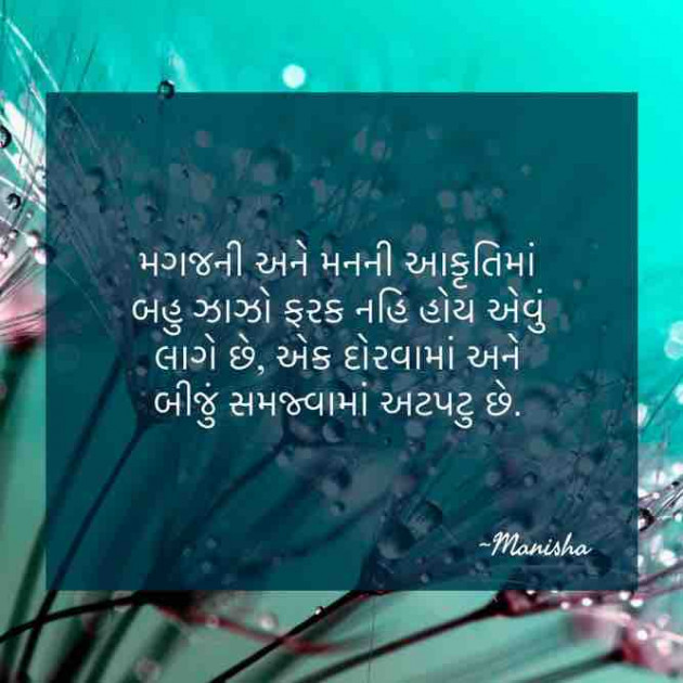 Gujarati Motivational by Manisha Dave Raval : 111726659