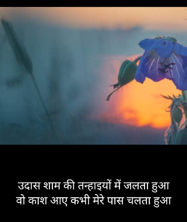 Hindi Romance by Kumar Rahman : 111727179