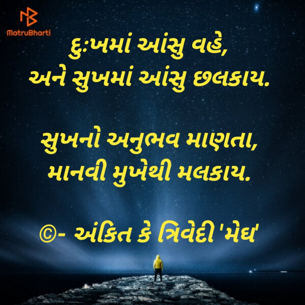 Gujarati Thought by Ankit K Trivedi - મેઘ : 111728098