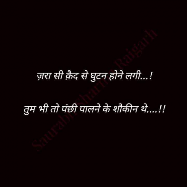 Hindi Whatsapp-Status by SUBHASH MEGHANI : 111728337
