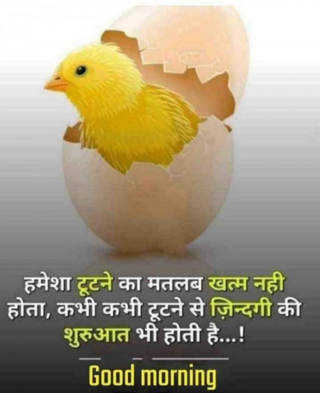 Hindi Good Morning by SUBHASH MEGHANI : 111728991