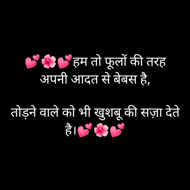 Hindi Blog by TRUSHAR : 111728994