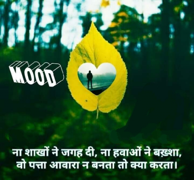 Hindi Whatsapp-Status by SUBHASH MEGHANI : 111729121