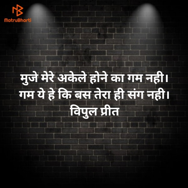 Hindi Whatsapp-Status by Vipul Borisa : 111729490