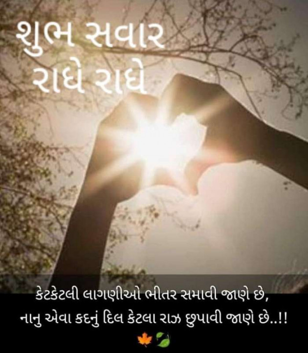 Gujarati Thought by RajniKant H.Joshi : 111729712