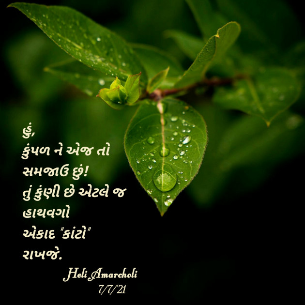 Gujarati Good Evening by Heli : 111730182