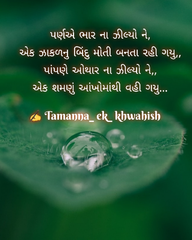 Gujarati Whatsapp-Status by Tinu Rathod _તમન્ના_ : 111730405