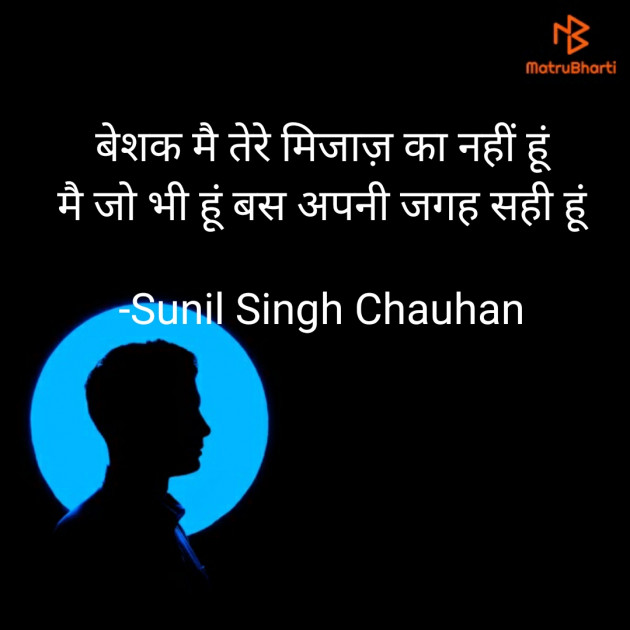 Hindi Blog by Sunil Singh Chauhan : 111730498