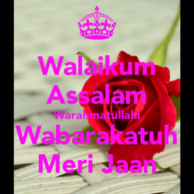 Hindi Whatsapp-Status by SYED ALEM : 111730806