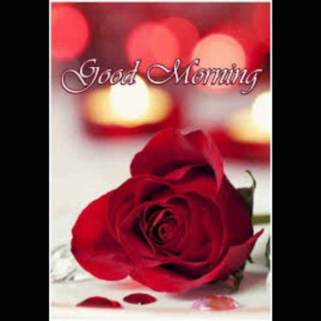 Hindi Whatsapp-Status by SYED ALEM : 111730822