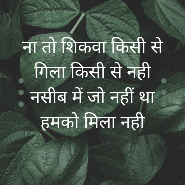 Hindi Blog by Misha : 111730950