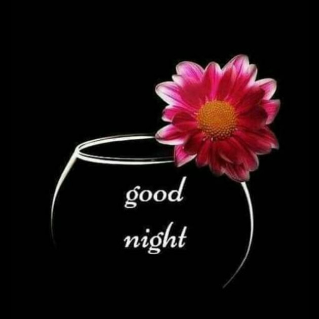 Hindi Whatsapp-Status by SYED ALEM : 111730965