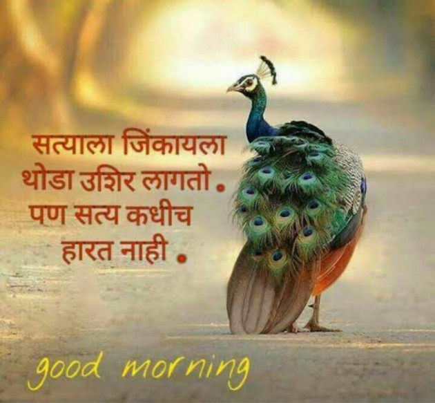 Hindi Whatsapp-Status by SYED ALEM : 111731522