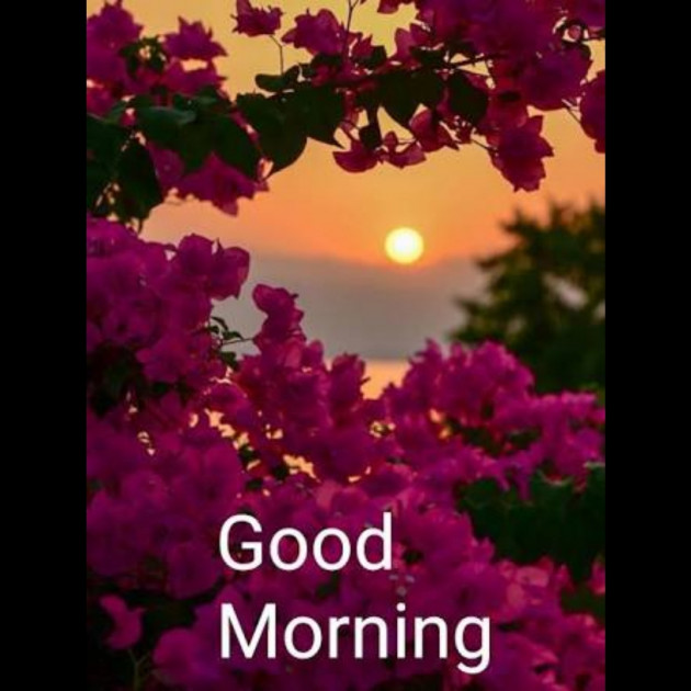 Hindi Whatsapp-Status by SYED ALEM : 111731637
