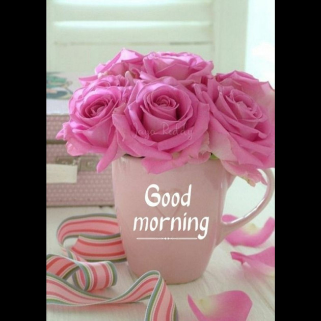 Hindi Whatsapp-Status by SYED ALEM : 111731641