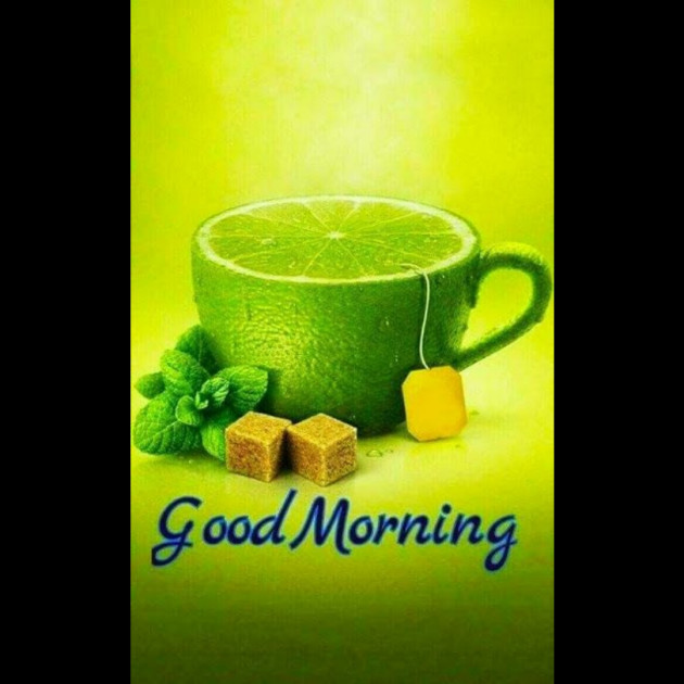 Hindi Whatsapp-Status by SYED ALEM : 111731652